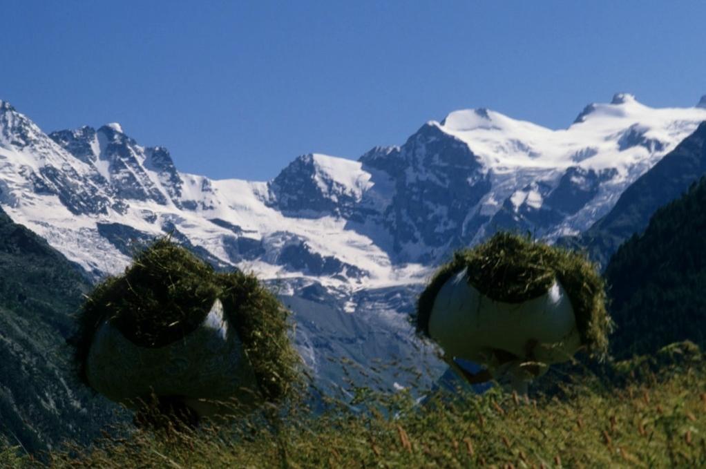 Hotel Locanda Grauson Cogne Exterior photo