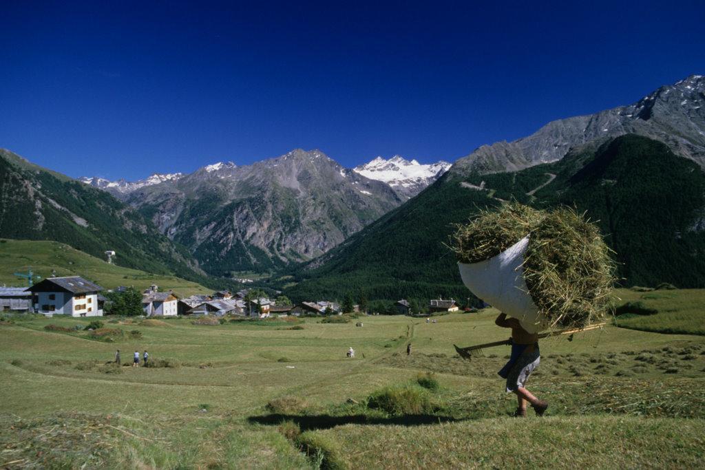 Hotel Locanda Grauson Cogne Exterior photo