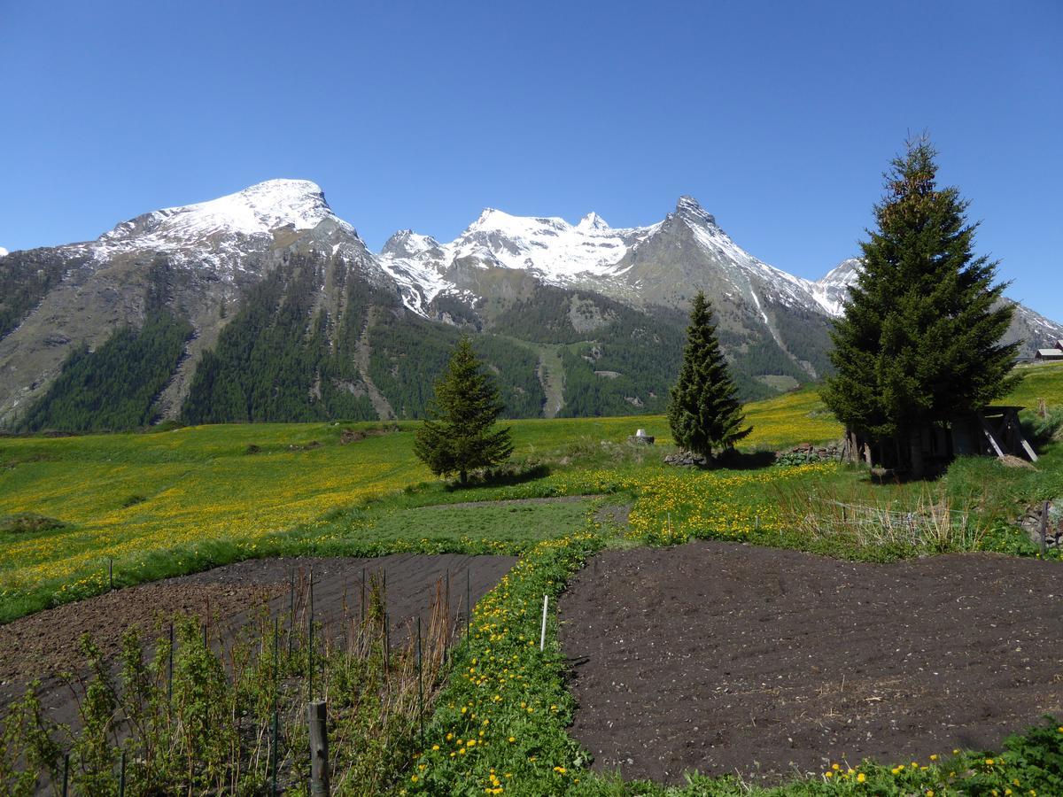 Hotel Locanda Grauson Cogne Exterior photo