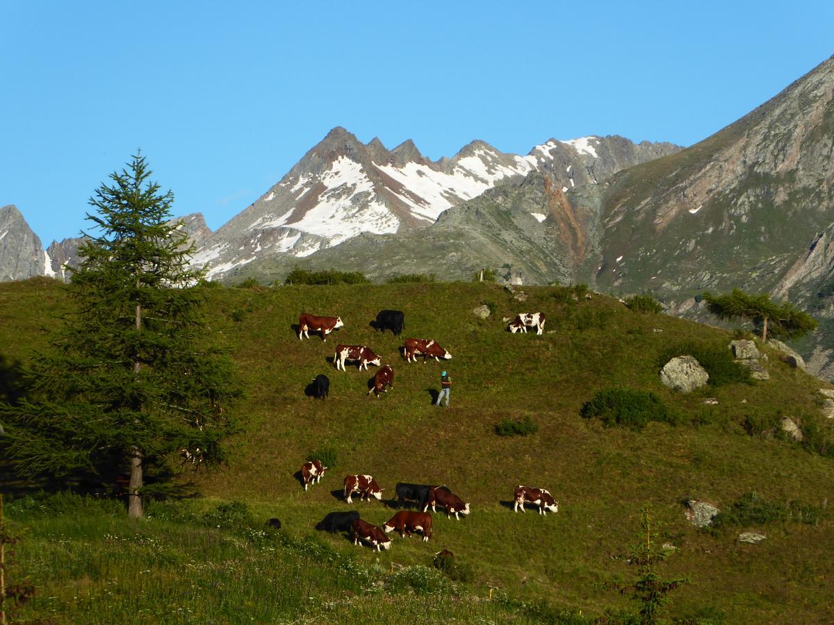 Hotel Locanda Grauson Cogne Exterior photo