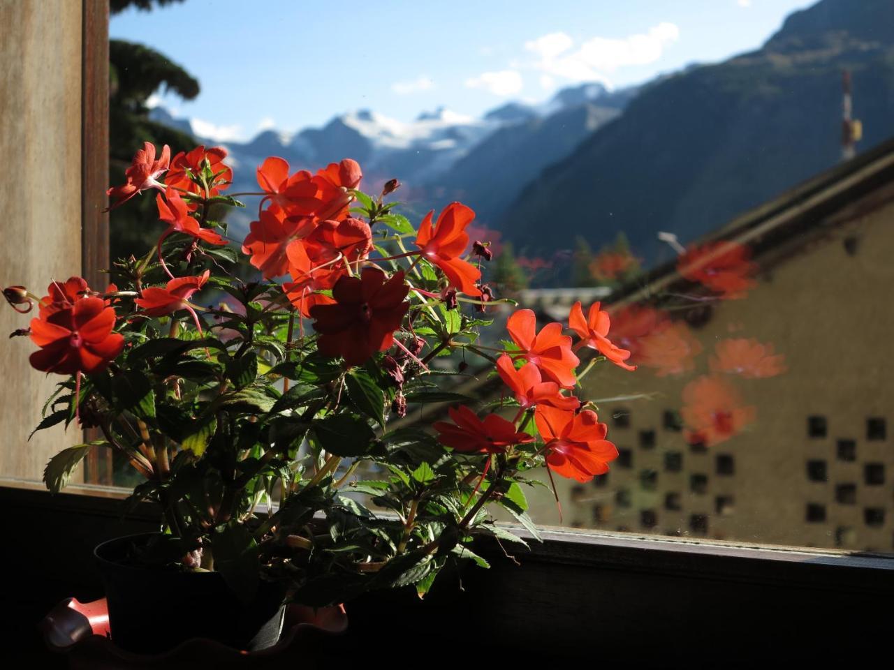 Hotel Locanda Grauson Cogne Exterior photo